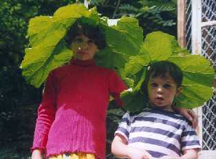 mes enfants